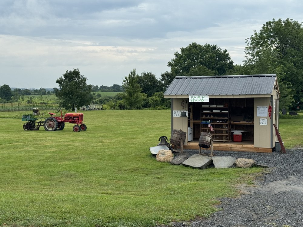 CG BEES FARM STAND Updated September 2024 609 Snooks Corners Rd