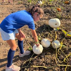 Valley Fruits & Veggies - Let's pick from the pumpkin patch!