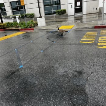 USC Arcadia Hospital - rip - Hospitals Near Me - Arcadia, California USC Arcadia Hospital - rip - Hospitals Near Me - Arcadia, California