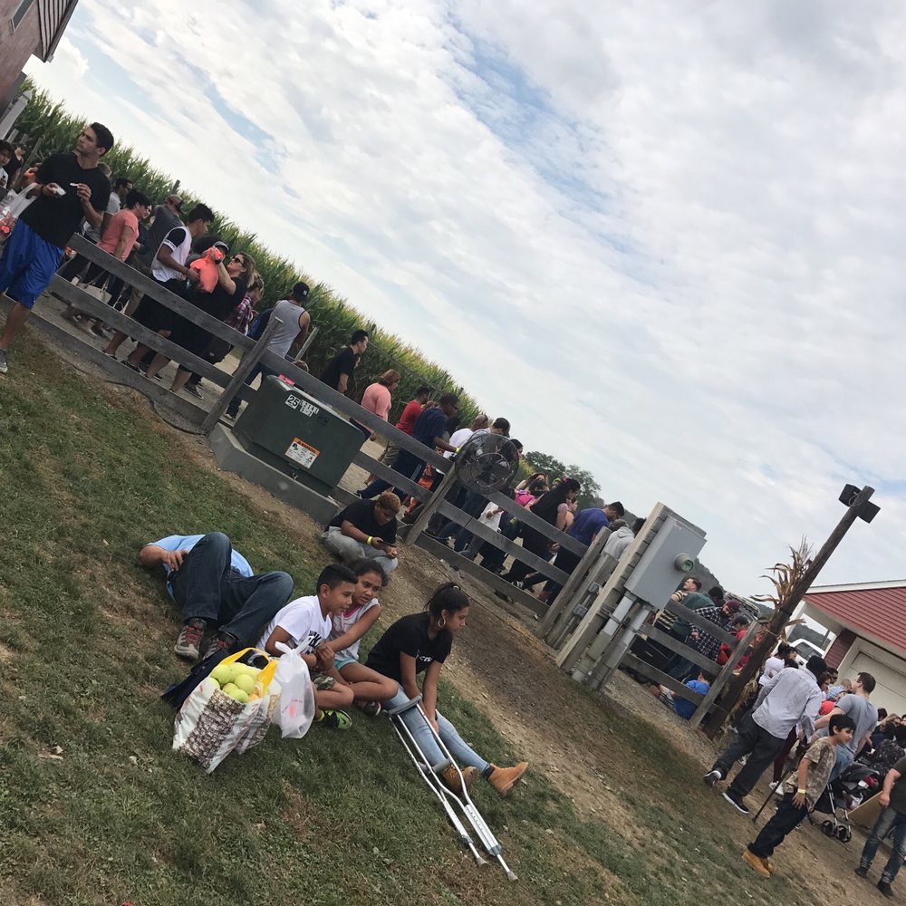 Barton Orchards - Just got donuts - Farmers Market Near Me - Poughquag, New York
