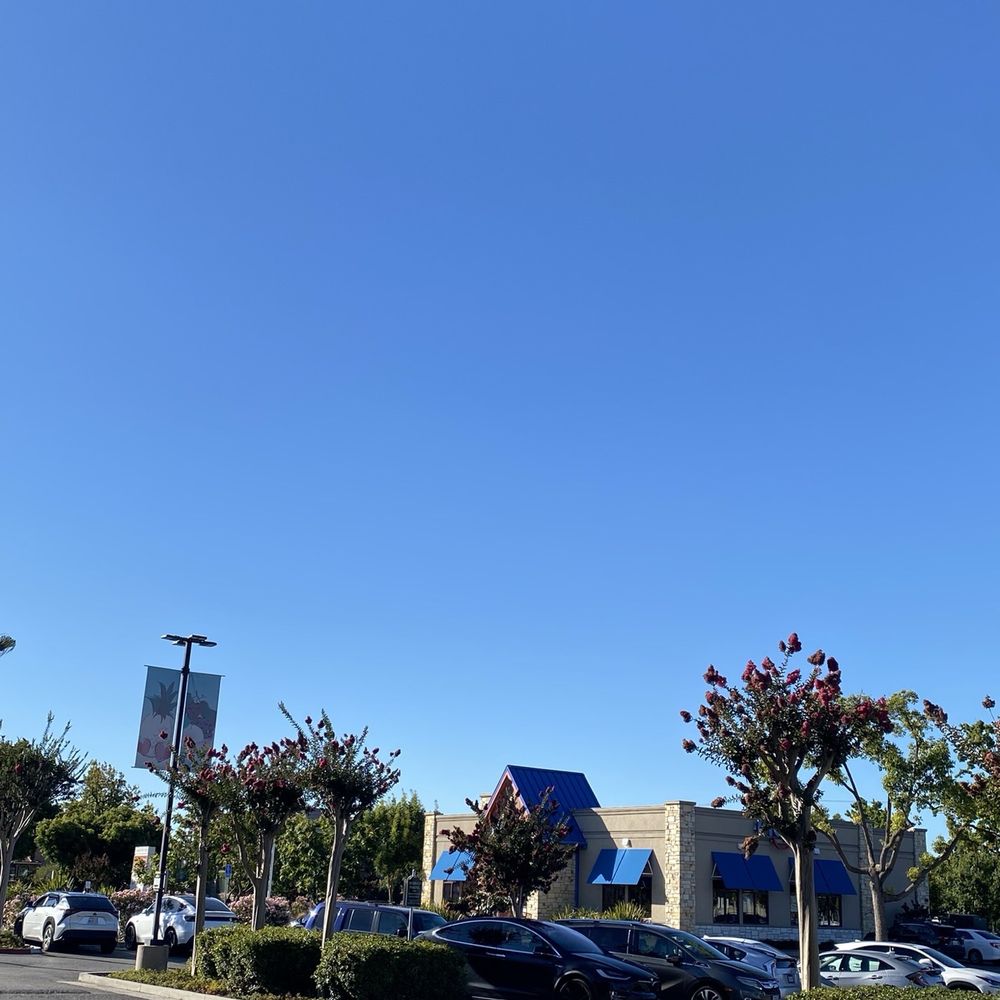 Grand Dynasty - Parking lot - Seafood Near Me - San Jose, California Grand Dynasty - Parking lot - Seafood Near Me - San Jose, California