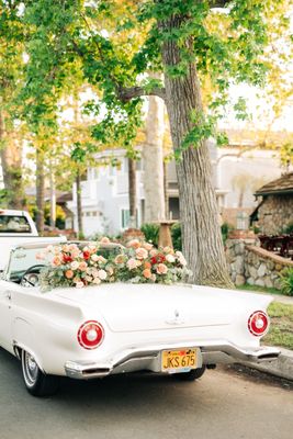 The Velvet Poppy, Floral Art and Event Design by null