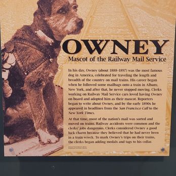National Postal Museum - Great mail dog story!!! Owney - Museums Near Me - Washington, DC, District of Columbia National Postal Museum - Great mail dog story!!! Owney - Museums Near Me - Washington, DC, District of Columbia