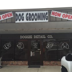 Doggie Detail - Mrs. Debbie (owner) was so good with my scared 8 month old puppy! Brittany was great!! She truly is the Dog Whisperer! So pleased!
