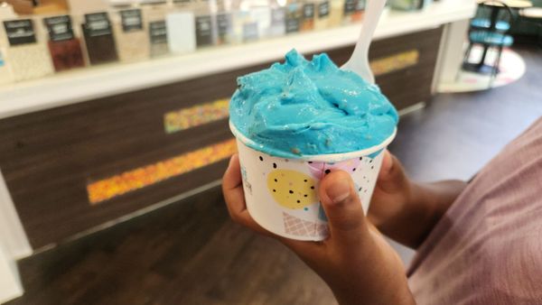 Marble Slab Creamery by null
