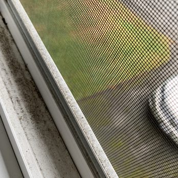 Chinook Services - Dirty window track and screen - Window Washing Near Me - Everett, Washington