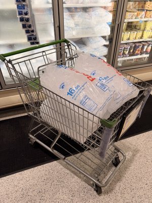 Publix Super Market at Collier Commons by null