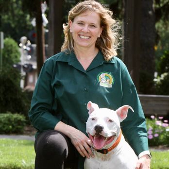 Haggerty Dog Training - Pet Training Near Me - Wellington, Florida Haggerty Dog Training - Pet Training Near Me - Wellington, Florida