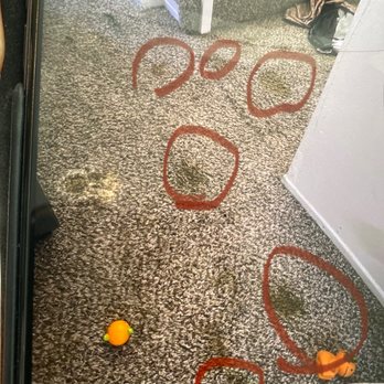 JM Carpet Cleaning - Before Jim cleaned it , disgusting - Carpet Cleaning Near Me - Pacoima, California JM Carpet Cleaning - Before Jim cleaned it , disgusting - Carpet Cleaning Near Me - Pacoima, California
