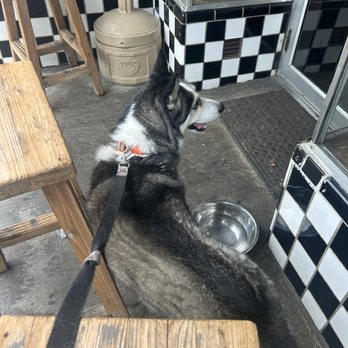 Balsam Falls Brewing - Dogs are allowed on patio - Breweries Near Me - Sylva, North Carolina
