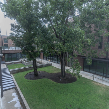 Fourth & - Rain Garden (South) - Condominiums Near Me - Austin, Texas