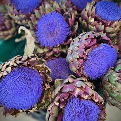 Carson Farmers Market