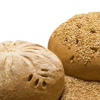 Great Harvest Bread - Stop in between 7 and 11daily to watch us make our fresh breads! - Bakeries Near Me - Lafayette, Indiana Great Harvest Bread - Stop in between 7 and 11daily to watch us make our fresh breads! - Bakeries Near Me - Lafayette, Indiana