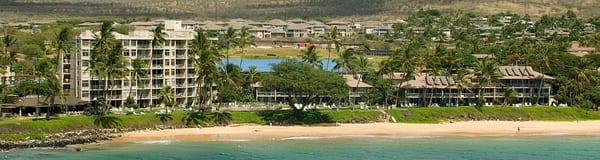 The Hale Pau Hana by null