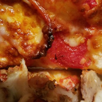 Lumberjack's Pizza - Bug in my pizza. - Pizza Near Me - North Smithfield, Rhode Island