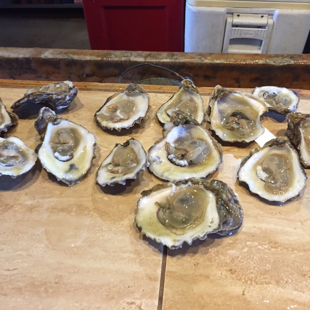 Clermont Oyster Bar - Dozen of Oysters: Market Price. So fresh, OMG - Seafood Near Me - Clermont, Florida