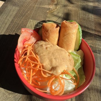 29 Bistro Pho X Thai - Crispy roll and salad as part of lunch special - Vietnamese Near Me - Dedham, Massachusetts