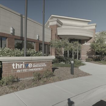Dermatology for Animals - Hoffman Estates - Veterinarians Near Me - Hoffman Estates, Illinois Dermatology for Animals - Hoffman Estates - Veterinarians Near Me - Hoffman Estates, Illinois