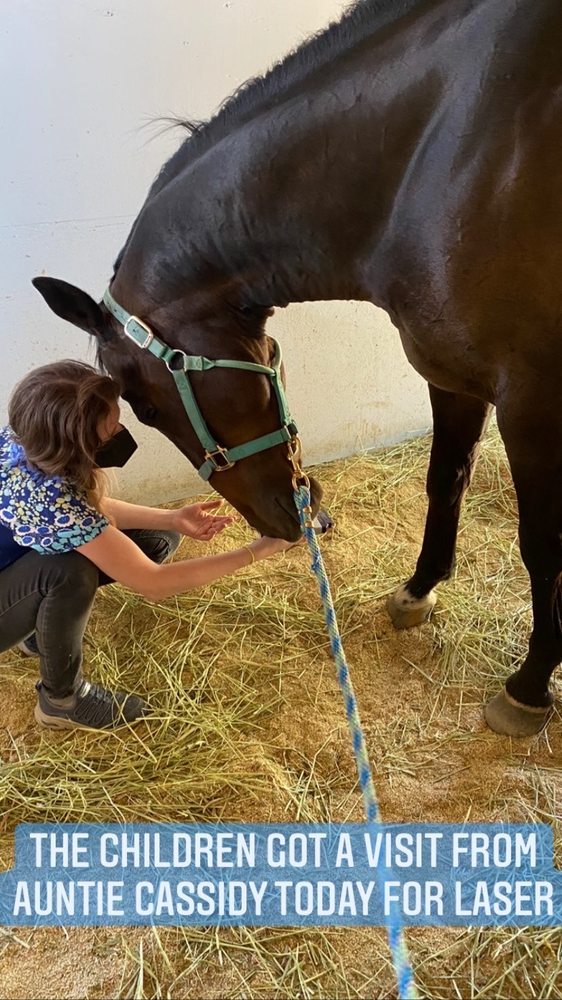 HOLISTIKA VETERINARY 33 Photos & 26 Reviews 2751 Foothill Blvd, La