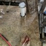 Photo of Tko Home Maintenance