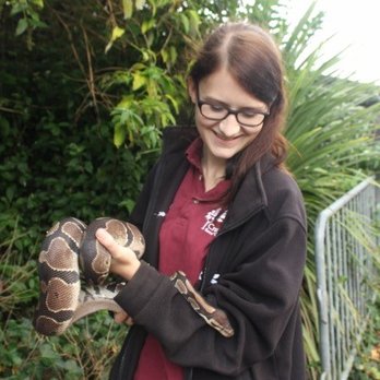 Tilgate Park Nature Centre - Baldrick the royal python with keeper, Nicole - Parks Near Me - Crawley, WSX