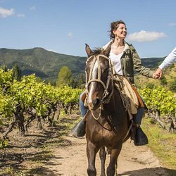 Chile Dream Tours