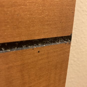 Seasons Motel - There were empty bug shells in the headboard of room 109. We read a review of a patron in July 2021 who had bedbugs in this room... - Hotels Near Me - Morton, Washington Seasons Motel - There were empty bug shells in the headboard of room 109. We read a review of a patron in July 2021 who had bedbugs in this room... - Hotels Near Me - Morton, Washington