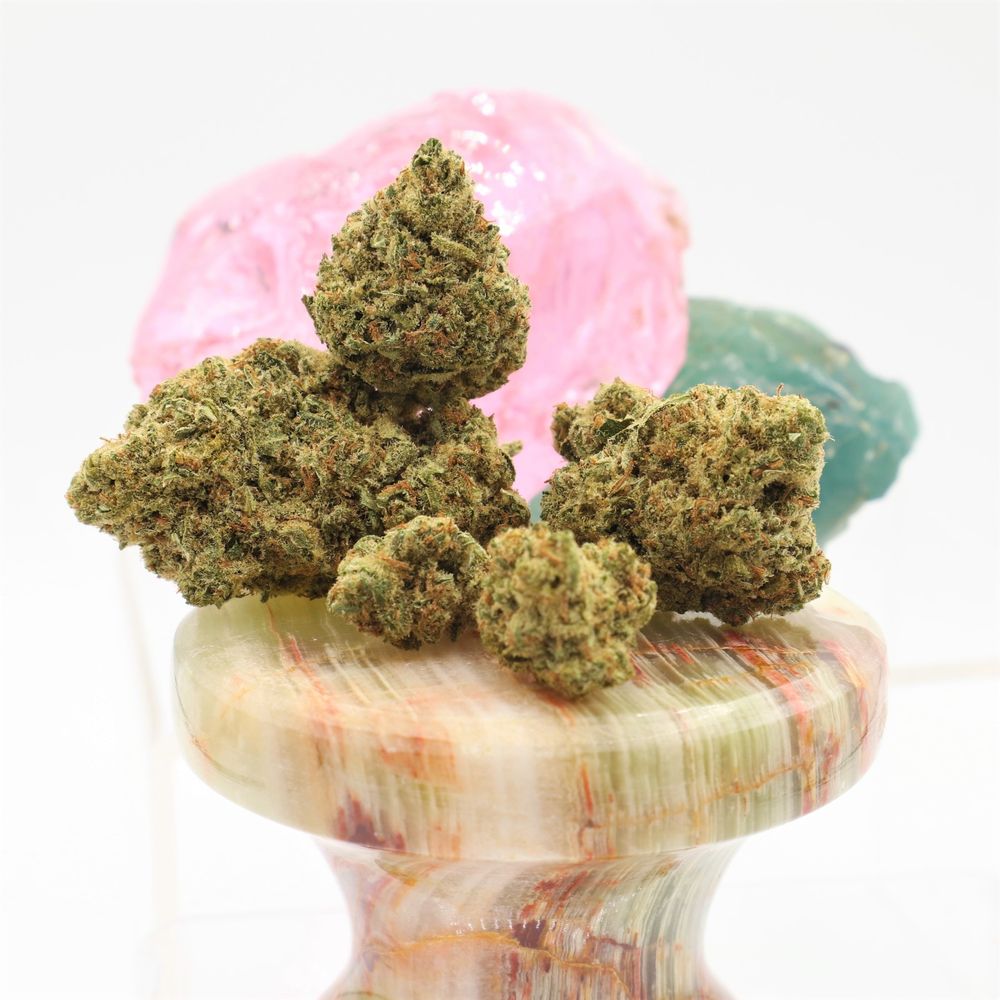 GOING GREEN SWEET HOME with photos Updated August 2024 32 Photos