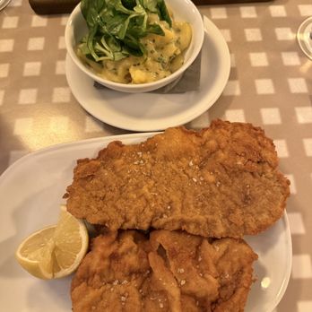 Lugeck - Austrian Near Me - Vienna, 9 Lugeck - Austrian Near Me - Vienna, 9