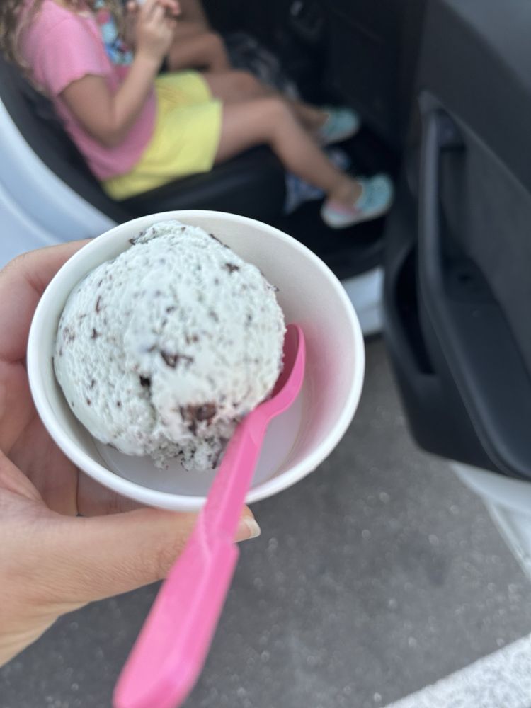 Baskin Robbins Logo