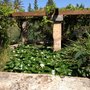 Photo of Jardí Botànic de Sóller