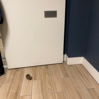 One Uptown Newport - Poop. Is it human or animal? Either way, disgusting. - Apartments Near Me - Newport Beach, California One Uptown Newport - Poop. Is it human or animal? Either way, disgusting. - Apartments Near Me - Newport Beach, California