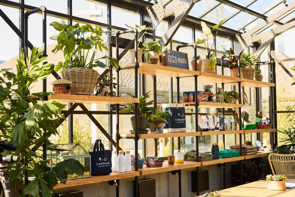Treehouse Hotel Silicon Valley by null