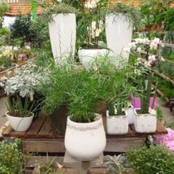 tuincentrum Hanenburg - De plantenkas