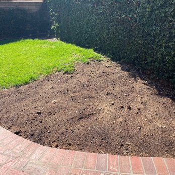 Don Williams Landscape & Trees - Here's where they were supposed to plant some grass... - Tree Services Near Me - Orange, California