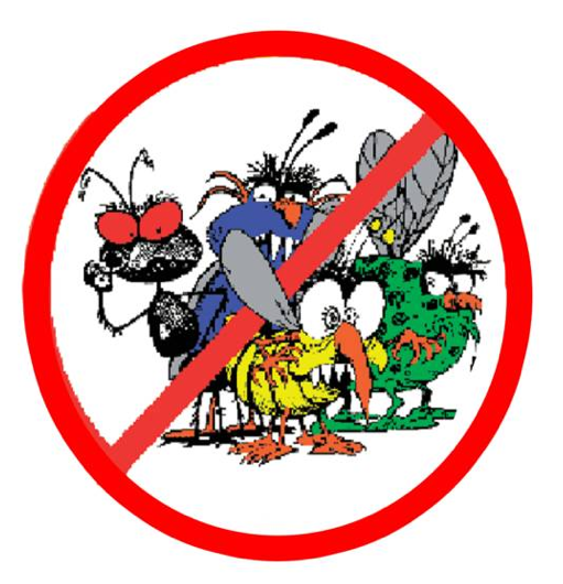 BUDGET PEST CONTROL Updated October 2024 16 Photos & 179 Reviews