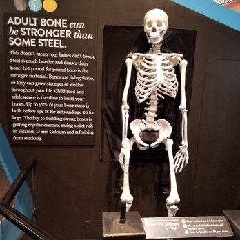 The Discovery - Museums Near Me - Reno, Nevada The Discovery - Museums Near Me - Reno, Nevada