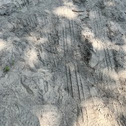 Bourne Scenic Park - No justice in pic
