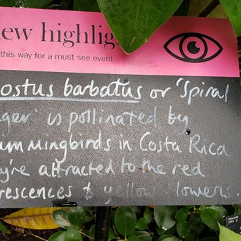 Kew Gardens - Botanical Gardens Near Me