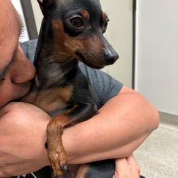Vista Veterinary Specialists - Veterinarians Near Me - Sacramento, California
