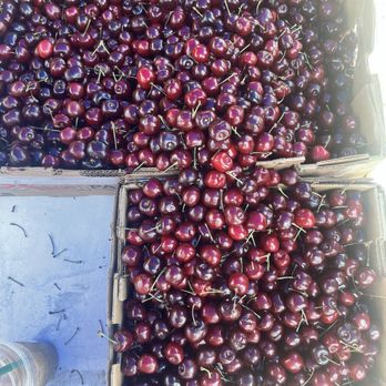 Evergreen Farmers Market - Farmers Market Near Me - Evergreen, Colorado