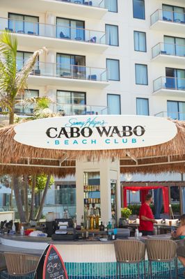 Cabo Wabo Beach Club by null