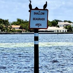 Pier Dolphin Cruises