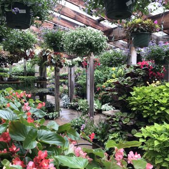 Nicholson-Hardie - Nurseries & Gardening Near Me - Dallas, Texas Nicholson-Hardie - Nurseries & Gardening Near Me - Dallas, Texas
