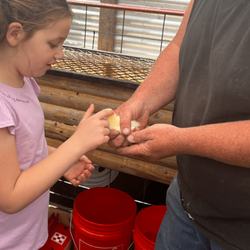 Bedford Academy - Bedford Academy offers an innovative learning curriculum.