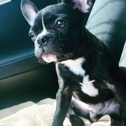 Winter Place Animal Hospital - Clubber gives Winter Place 5 stars!