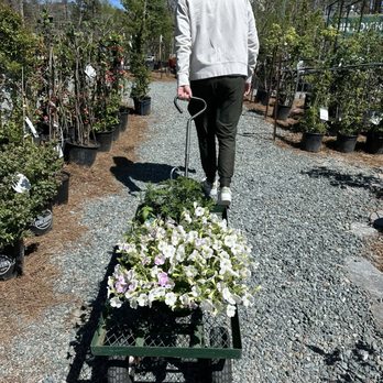 For Garden's Sake - Nurseries & Gardening Near Me - Durham, North Carolina For Garden's Sake - Nurseries & Gardening Near Me - Durham, North Carolina