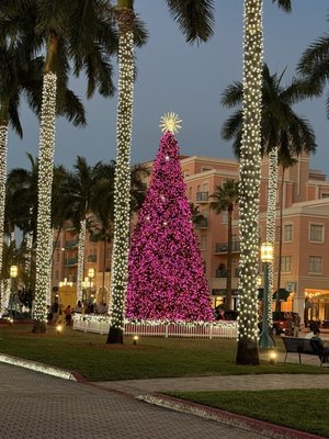 Mizner Park by null
