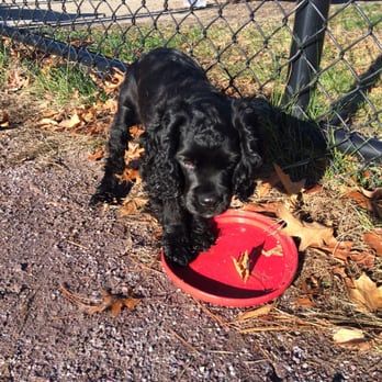Pet Express - Pet Stores Near Me - Danvers, Massachusetts
