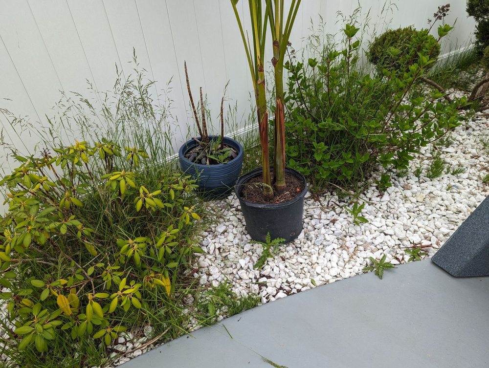 KD Landscaping and Snow Plowing - tree service in Buffalo, NY